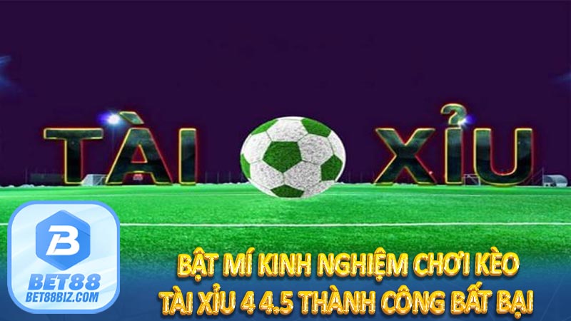 Bật mí kinh nghiệm chơi Kèo Tài Xỉu 4 4.5 thành công bất bại 