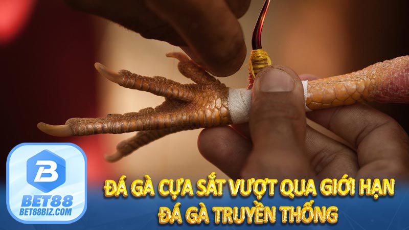 Đá gà cựa sắt vượt qua giới hạn đá gà truyền thống